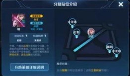 姐姐王者爆料是谁啊视频,神秘人物引热议